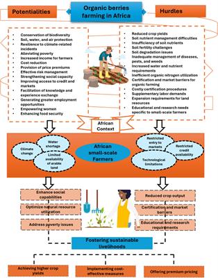 A comprehensive review of integrating biostimulants and biopesticides for organic berry farming: exploring challenges and opportunities for Africa